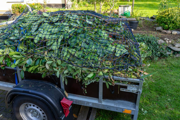 Best Estate Cleanout  in Owensville, IN